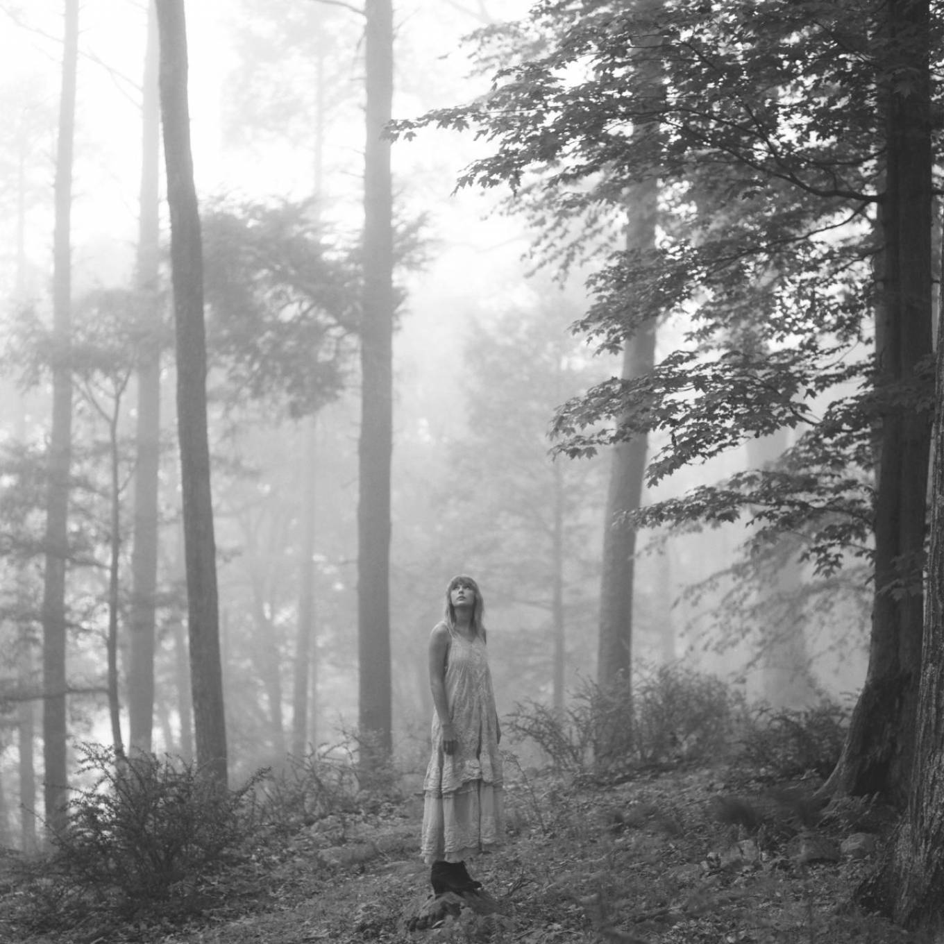 Taylor Swift Folklore